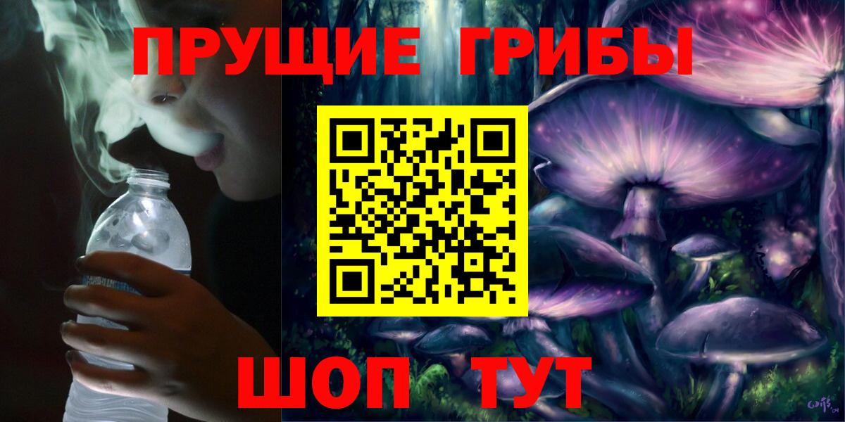 как найти наркотики  Вход с VPN  Галлюциногенные грибы Psilocybe  Кольчугино  Галлюциногенные грибы Psilocybe 